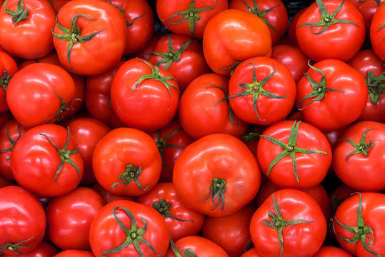 Tomato
